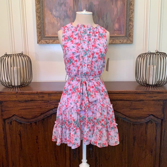 Pink Harper Wren “Barcelona Dress” - Picture 2 of 4